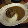 【今日のＣ＆Ｃカレー】ポークカレー(辛口)　トッピングハンバーグ　携帯クーポン併用　￥400