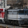 甲種輸送(DD200-901) in大船・鶴見駅