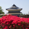 深紅のツツジと「鼠多門」