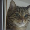 そっくり