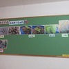 １年生：学年掲示板