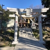 19.1.1 元旦