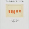 マリオ・バルガス=リョサ『若い小説家に宛てた手紙』