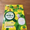 幼稚園新年中さんに隔週でこどもちゃれんじからの勧誘チラシ届きます