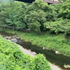 7月4日(金)秩父フライフィールドの河川情報