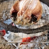40代必見！熊野の恵み「旬のひものセット」で食卓を彩る