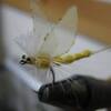 🎣フライタイイングから始めるのもいいんじゃない？