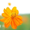 コンダクターの行方