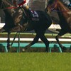 2017桜花賞・ニュージーランドT・阪神牝馬Sﾃﾞｰﾀ予想～クラウンCあり〼