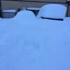 福井の大雪　雪かき中に起きた名も知らぬおばあちゃんとの珍ハプニングにちょっぴり心が和んだ話