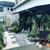 地元の植物を求めて（マニアック変態 編）