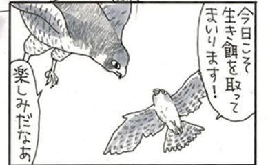 夜廻り猫【第一〇六五話】ハヤブサの息子（前編）