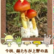 もやしもん 君にも見える菌 細菌 ウィルス 微生物
