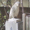 ざあざあ‥ざあざあ‥