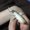 羽化