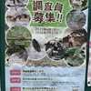 川口市いきもの調査　調査員募集