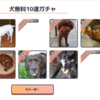 犬無料10連ガチャを回していかないか？Ver.2【React/個人開発】