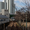 廃線跡遊歩道