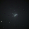 春の棒渦巻銀河 2態 NGC4051 ほか