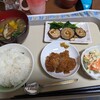 5/20(月)今日も眠い。布団がお友達。なにもしないのは、悪くは無い。私は、何もできなくなるのが、怖かったようだ。ともかく、今は、ぐったりベッドに横になって、自分の中から、動き出すものを待とう。南無観世音菩薩！