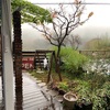 また雨☂️かぁ〜