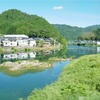 【旅】飛騨高山、古い町並みを満喫する旅