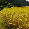 友と新月の晩酌遊山　霧の中へ