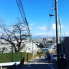 明けましておめでとうございます