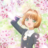 クリアカード編 原作13話 カードキャプターさくらを知らないseの感想 ネタバレ注意 小狼強し 新技は対クリアカード用か ごだいぶろぐ 絶対大丈夫じゃないseのぼやき