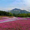 【登山】秩父のシンボル武甲山に山登りとか
