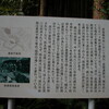 免許の更新で