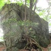 渋好みな山・奥秩父の熊倉山へ