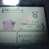 世代別努力値稼ぎ