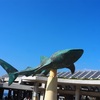 73日目 美ら海水族館