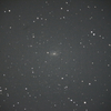 NGC6951 輝きは幾多あれど