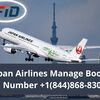 How to Change Flight on Japan Airlines?