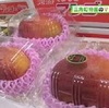 特産マンゴーの出荷最盛期 宇城市三角町