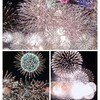 花火大会