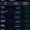 100万円の塩漬をなんとかしたい2.2.25大暴落