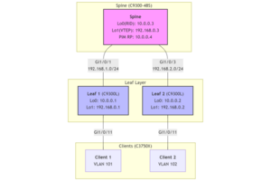 Cisco実機で学ぶBGP EVPN VXLAN（第3回）：L3ネットワーク（L3VNI）の構築編