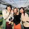 完熟いちご🍓狩り情報1月30日(水)開園日です‼️✨💫