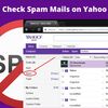 How Do I Check Spam on Yahoo Mail? 