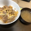 料理初心者の一人暮らしが親子丼に挑戦！！