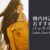 【機内持ち込み可】旅行におすすめな軽量バックパック Cabin Zero 44L