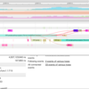 golang でのデバッグに非常に便利な go tool trace