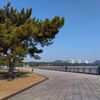 金沢海の公園散策！