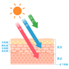 日焼けとメラニン色素の関係…と役割。。