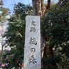 下鴨神社