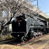 IRいしかわ鉄道　松任駅／桜と蒸気機関車（D51）