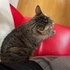 妹と映画行った